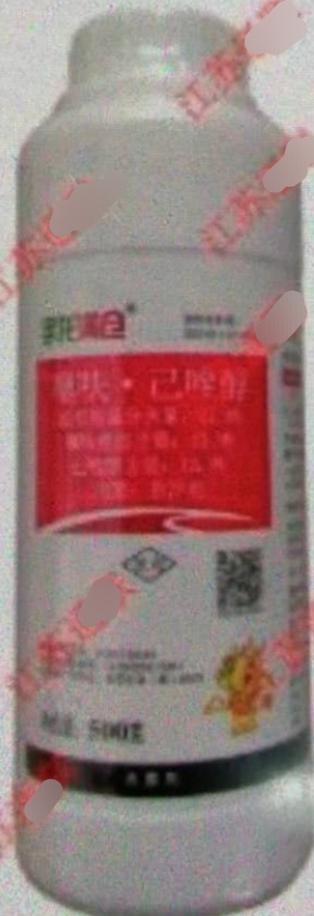 Image bd96c9a31eac3a281d3f28d1ae6e81a