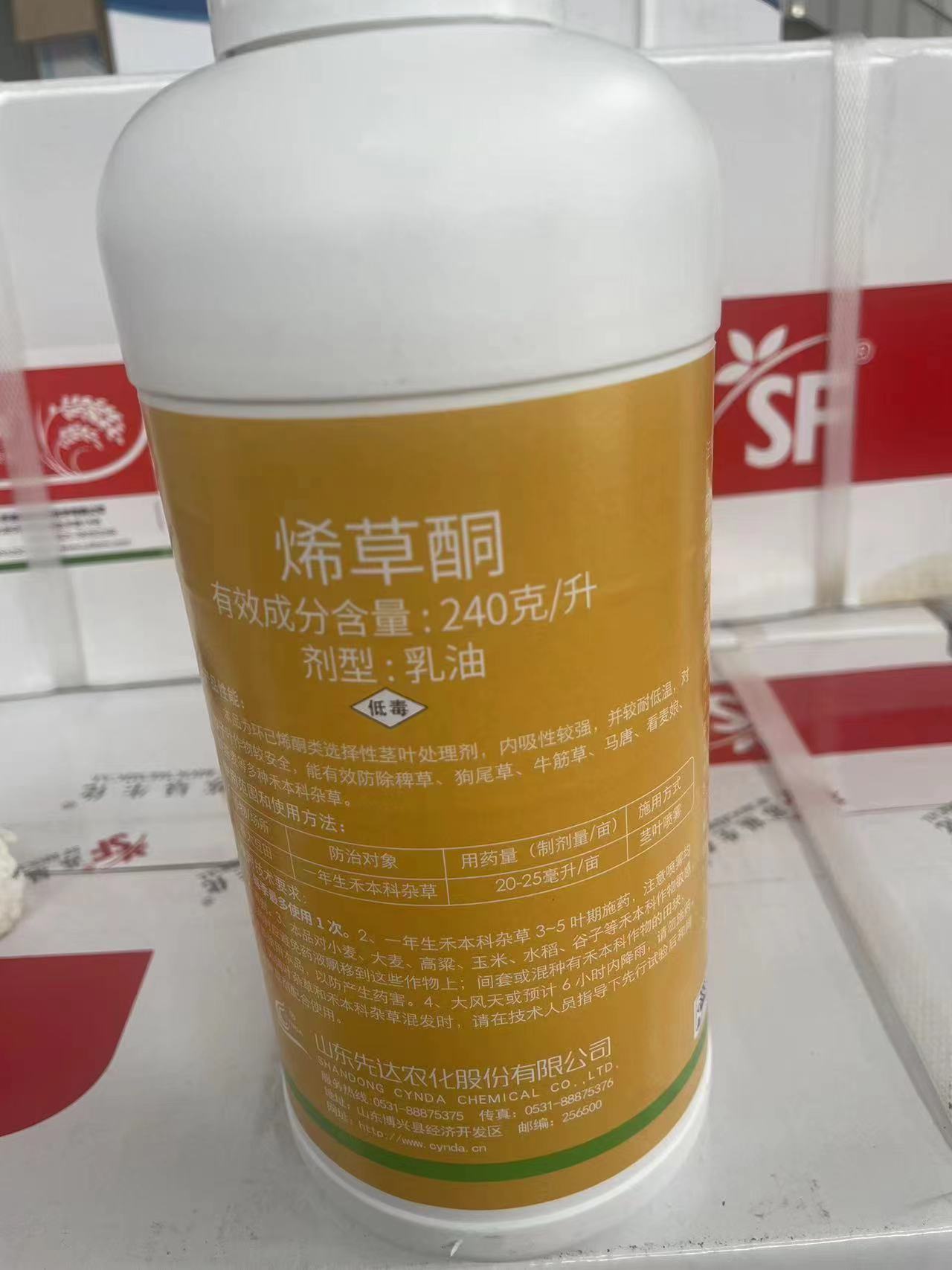 Image 09e8d041e8fd76272930b3e189705dc