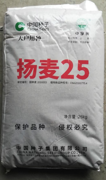 Image 1732503038134