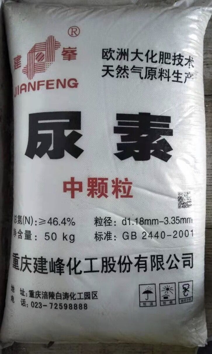 Image image qq%e5%9b%be%e7%89%8720191127113638 93f0cb9ee6043e8174aa8f4311d48a17