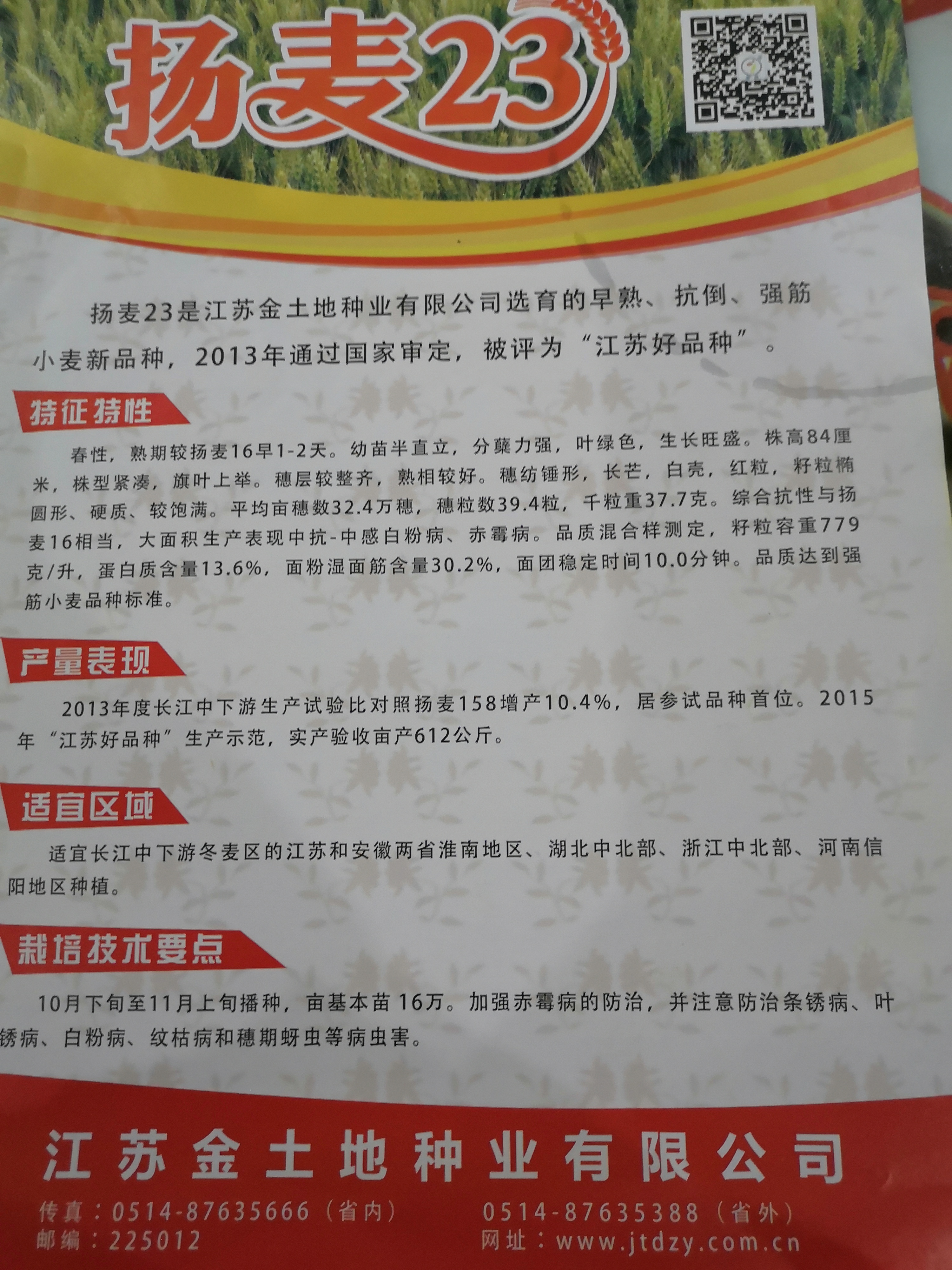Attachment 扬麦23反面