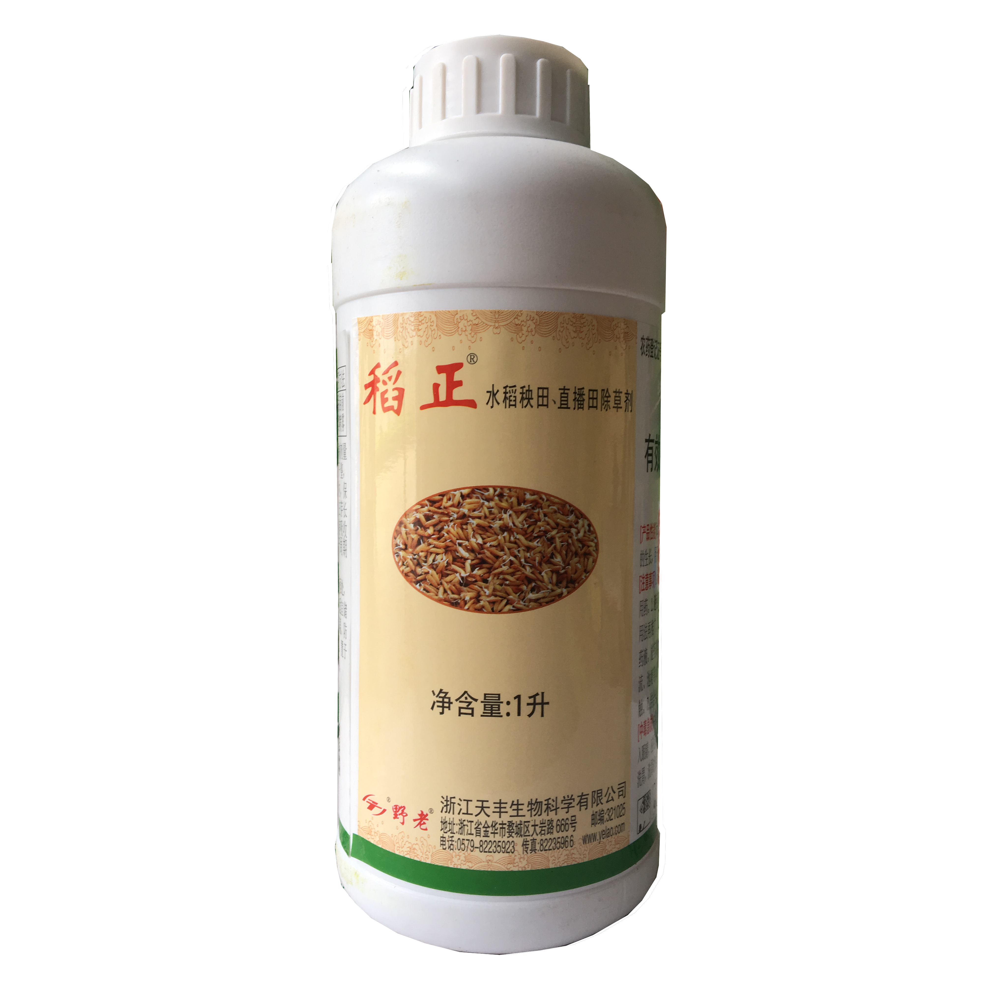 Attachment 稻正2
