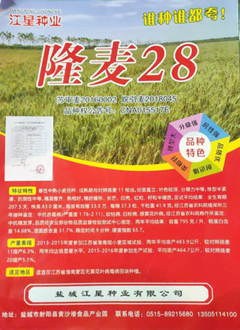 Attachment 隆麦28 副本